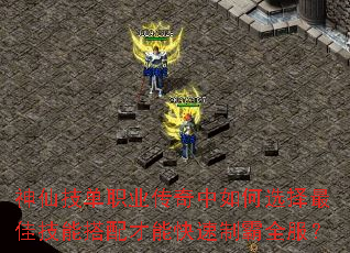 ���ɼ���ְҵ���������ѡ����Ѽ��ܴ�����ܿ����ư�ȫ����