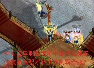 ���ɼ���ְҵ���������ѡ����Ѽ��ܴ�����ܿ����ư�ȫ����