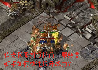 ����˽�����а�ǰʮ������������ο�������ս����