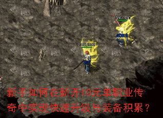 ����������¿�10Ԫ��ְҵ������ʵ�ֿ���������װ�����ۣ�