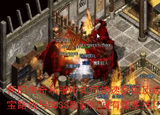 ���ɴ���˽������ο��ٻ�ȡ����װ������·����BOSSˢ��ʱ������Щ���ɣ�