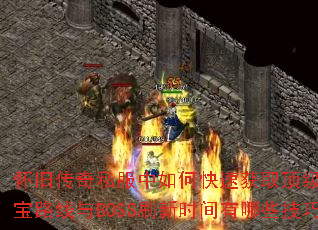 ���ɴ���˽������ο��ٻ�ȡ����װ������·����BOSSˢ��ʱ������Щ���ɣ�