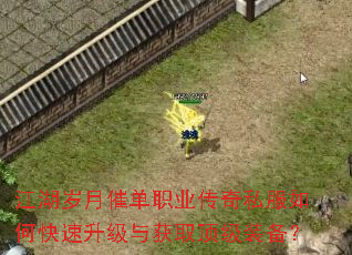 �������´ߵ�ְҵ����˽����ο����������ȡ����װ����