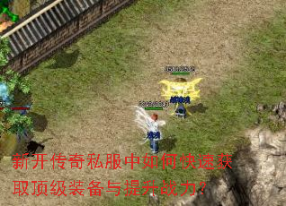 �¿�����˽������ο��ٻ�ȡ����װ��������ս����