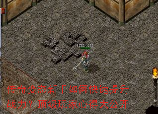 �����̬������ο�������ս������������ĵô󹫿�