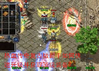 ��Ѫ���渴�Ű�������ο�����������ȡ����װ����