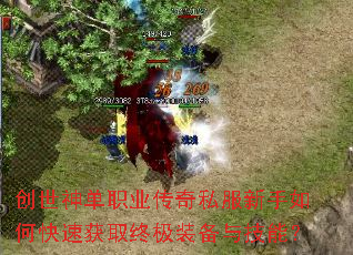 创世神单职业传奇私服新手如何快速获取终极装备与技能? 创世神单职业传奇私服新手如何快速获取终极装备与技能?