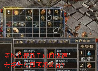 ��紫��������ο����������ȡ����װ����