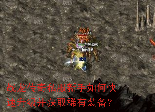 ս������˽��������ο�����������ȡϡ��װ����