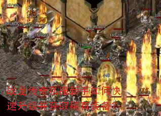 ս������˽��������ο�����������ȡϡ��װ����