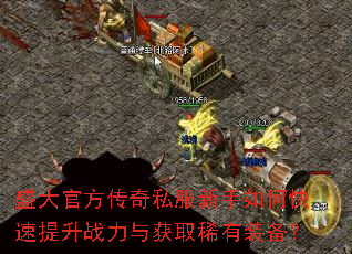 ʢ��ٷ�����˽��������ο�������ս�����ȡϡ��װ����