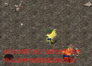 新手如何在新开单职业倍攻传奇私服中快速刷出顶级装备? 新手如何在新开单职业倍攻传奇私服中快速刷出顶级装备?