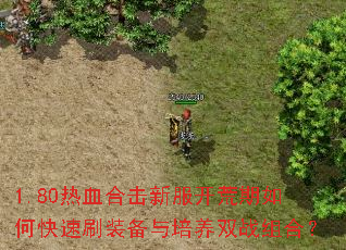 1.80热血合击新服开荒期如何快速刷装备与培养双战组合? 1.80热血合击新服开荒期如何快速刷装备与培养双战组合?