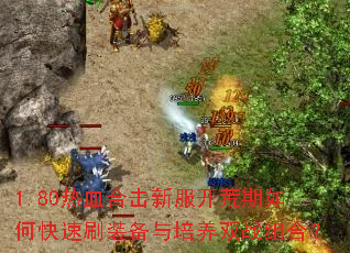 1.80热血合击新服开荒期如何快速刷装备与培养双战组合? 1.80热血合击新服开荒期如何快速刷装备与培养双战组合?