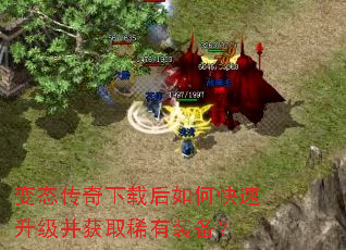 ��̬�������غ���ο�����������ȡϡ��װ����