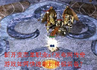 �¿���̬��ְҵsf������������Ϸ��ο���ˢ���ռ�װ����