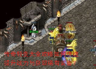 ��������ȫ������ο�������ս�����ȡϡ��װ����