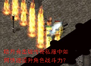 ��ºϻ��洫��˽������ο���������ɫս������