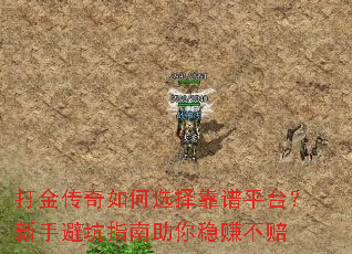 ��������ѡ����ƽ̨�����ֱܿ�ָ��������׬����