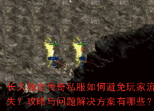 �����ȶ�����˽����α��������ʧ����������������������Щ��