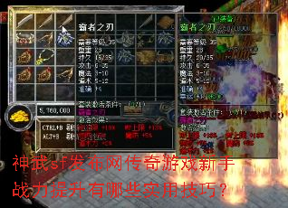 ����sf������������Ϸ����ս����������Щʵ�ü��ɣ�