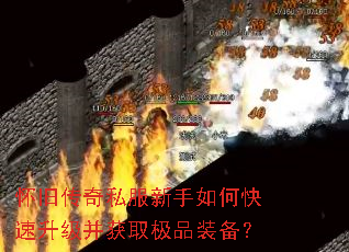 ���ɴ���˽��������ο�����������ȡ��Ʒװ����