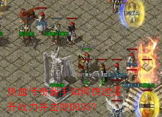 ��Ѫ����������ο�������ս��������BOSS��