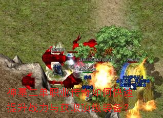 ��Ĺ����ְҵ������ο�������ս�����ȡ����װ����