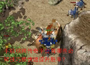 �ֻ����ƴ���ƽ̨����Щ��֪�����ܿ�������ʤ�ʣ�