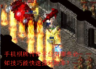 �ֻ����ƴ���ƽ̨����Щ��֪�����ܿ�������ʤ�ʣ�