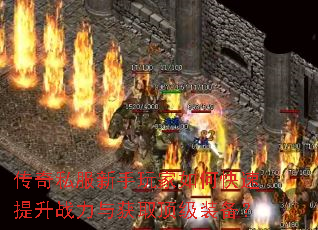 ����˽�����������ο�������ս�����ȡ����װ����