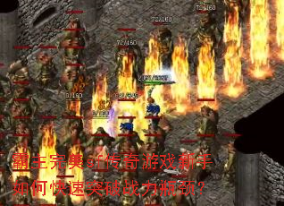 ��������sf������Ϸ������ο���ͻ��ս��ƿ����