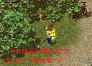 ����˽��ǰʮǿ��������������������ʲô��