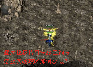 ʢ����Ȩ����˽����ѯ������ʵս������λ�ȡ��