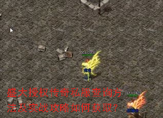 ʢ����Ȩ����˽����ѯ������ʵս������λ�ȡ��