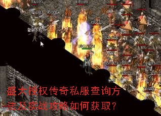 ʢ����Ȩ����˽����ѯ������ʵս������λ�ȡ��