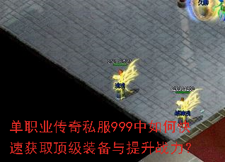 ��ְҵ����˽��999����ο��ٻ�ȡ����װ��������ս����