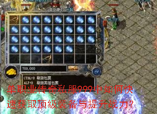 ��ְҵ����˽��999����ο��ٻ�ȡ����װ��������ս����