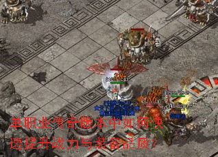 ��ְҵ����汾����ο�������ս����װ��Ʒ�ʣ�