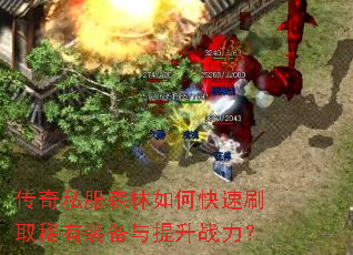 ����˽��ɭ����ο���ˢȡϡ��װ��������ս����