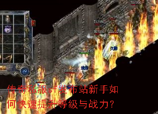 ����˽��sf����վ������ο��������ȼ���ս����