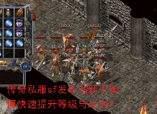 ����˽��sf����վ������ο��������ȼ���ս����