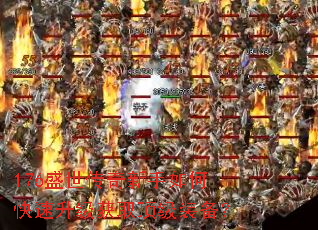 176ʢ������������ο���������ȡ����װ����