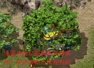 冰雪传奇私服脚本如何挑选?实用攻略与推荐指南 冰雪传奇私服脚本如何挑选?实用攻略与推荐指南