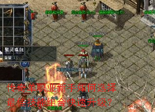 传奇单职业新手如何选择最佳技能组合快速升级? 传奇单职业新手如何选择最佳技能组合快速升级?