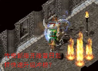 �����·������������������������