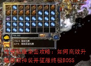 ����˽��ȫ�湥�ԣ���θ�Ч������ȡ��װ�������ռ�BOSS