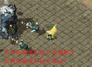 传奇私服单职业三网通新手如何快速提升战力等级? 传奇私服单职业三网通新手如何快速提升战力等级?