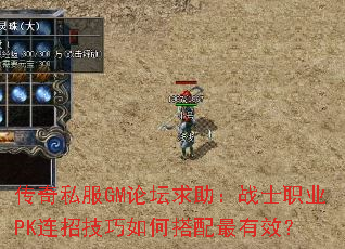 ����˽��GM��̳������սʿְҵPK���м�����δ�������Ч��