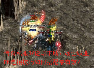 ����˽��GM��̳������սʿְҵPK���м�����δ�������Ч��